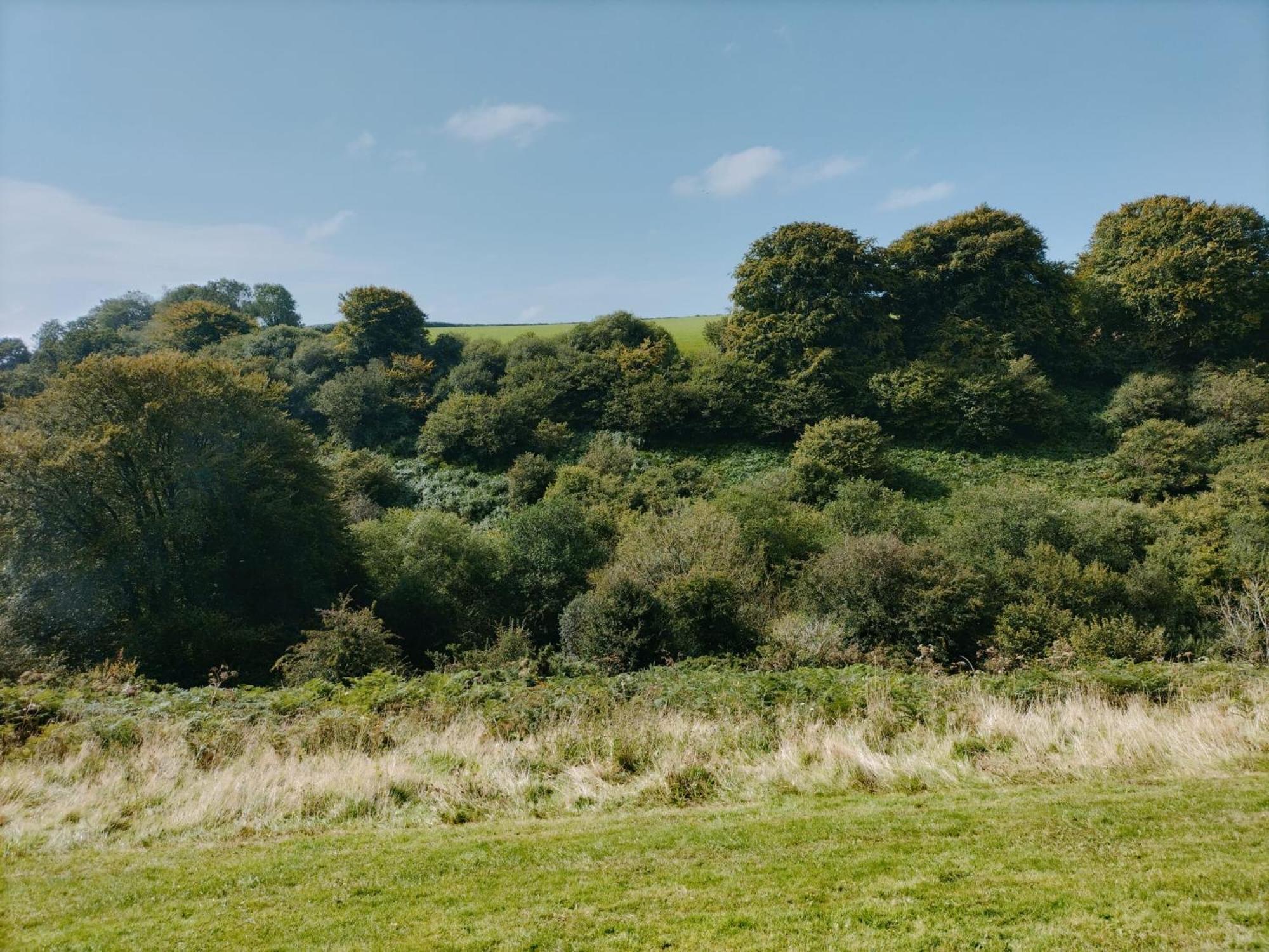 Appartamento 22 Stowford Gardens Combe Martin Esterno foto
